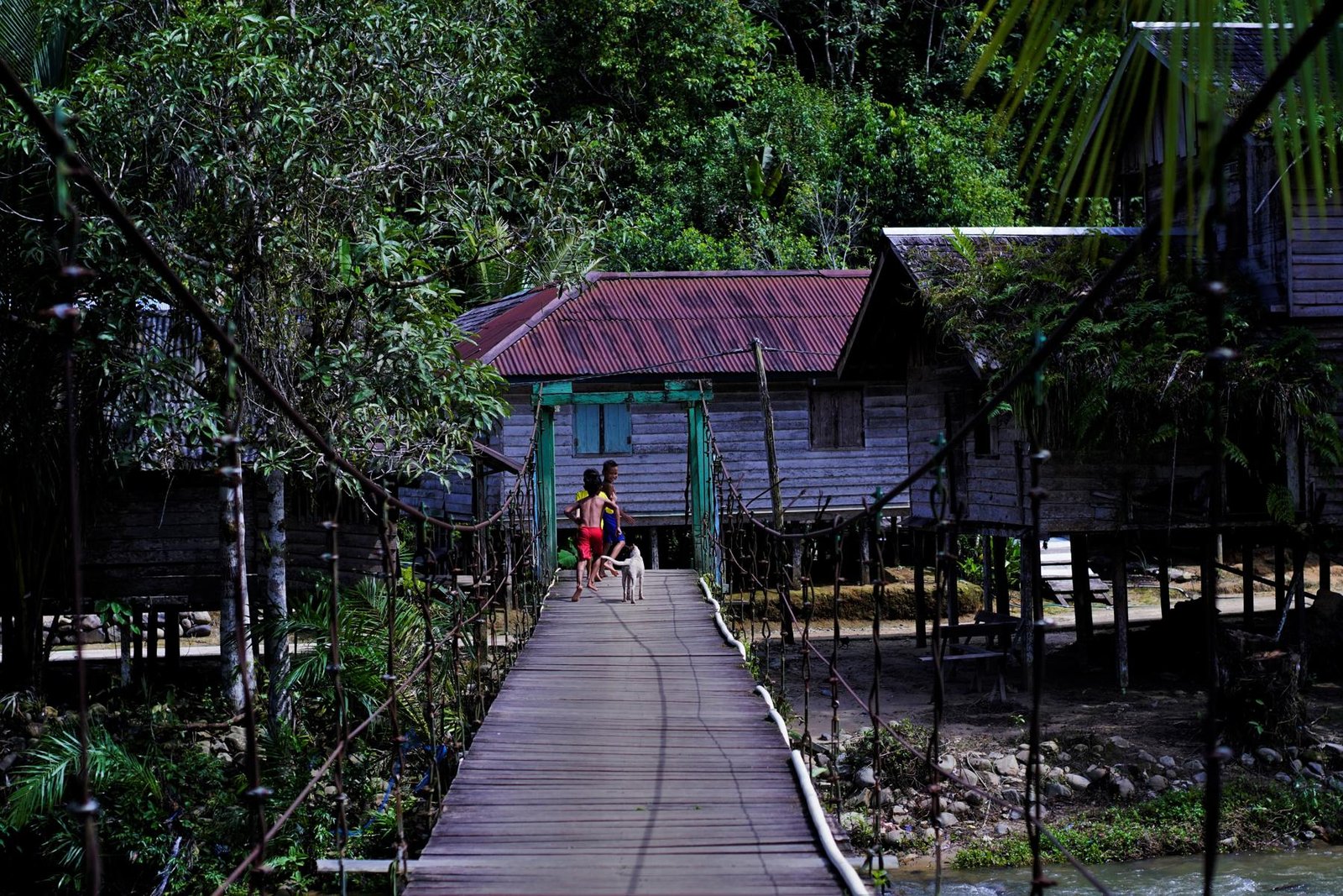 Hutan Adat Jalai Lintang